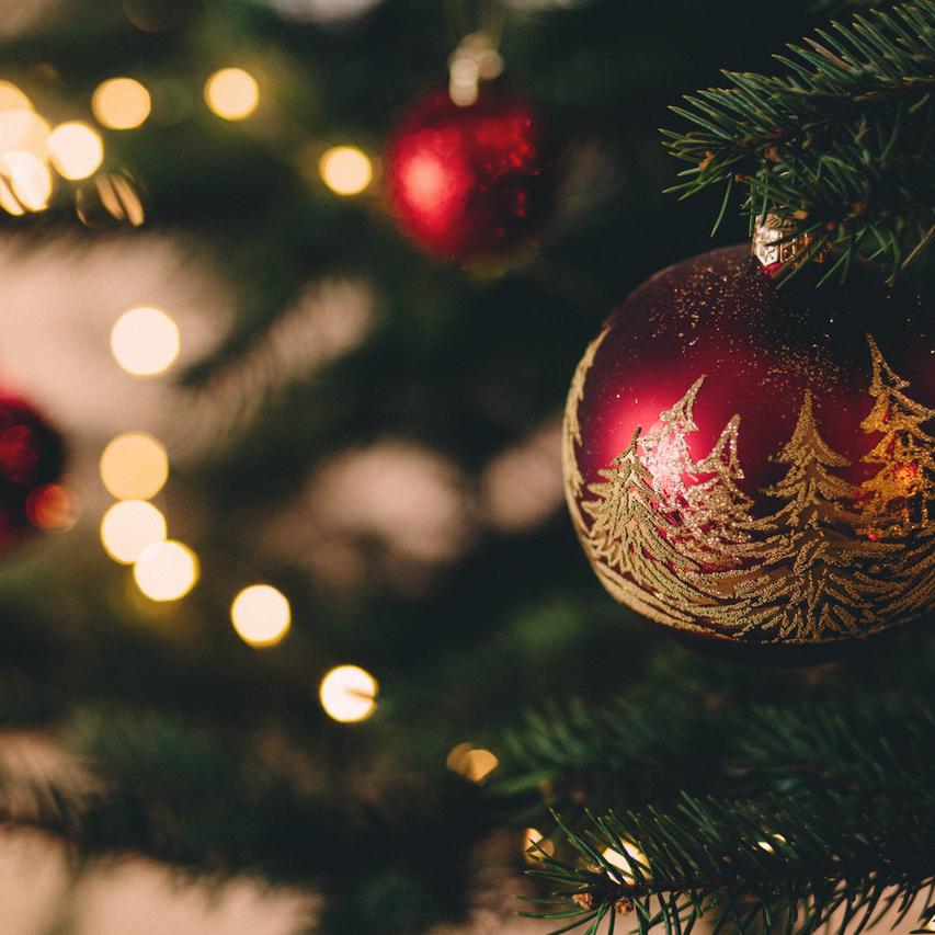 3 Lessons from the Christmas Tree